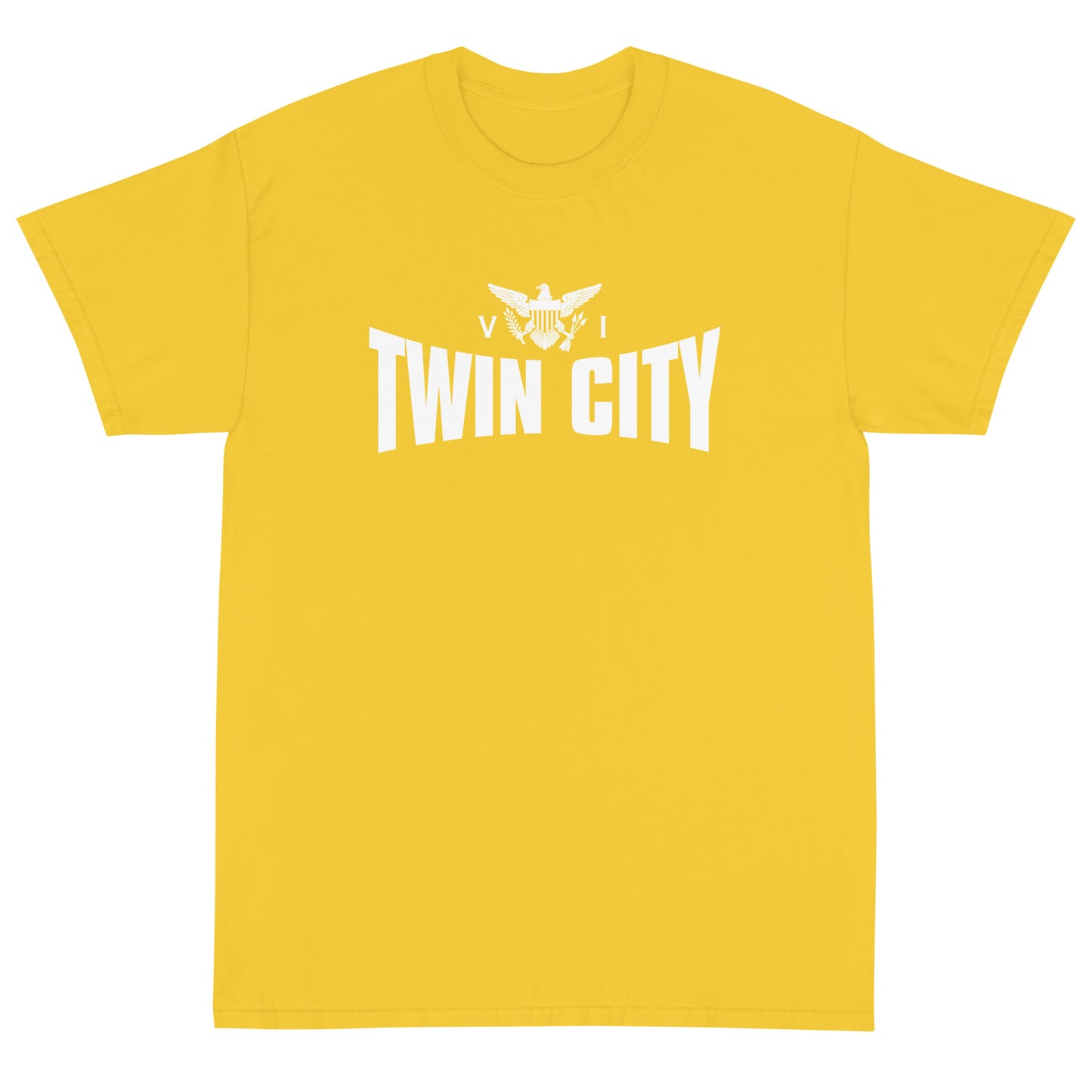 Twin City Men's T-Shirt | Phade Fashion Virgin Islands