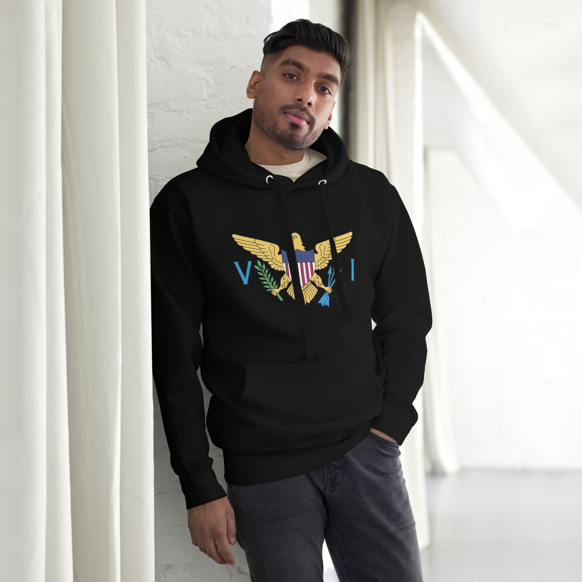 Unisex Classic VI Hoodie | Phade Fashion Virgin Islands